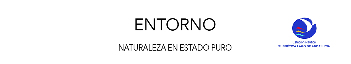 BannerENTORNO