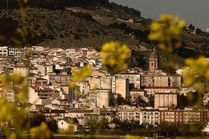 LOJA Granada
